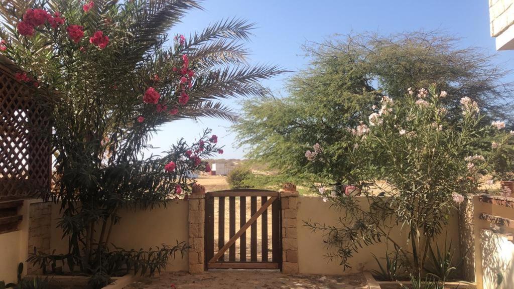 Attico Residence Costa Do Sol Sal Rei Zewnętrze zdjęcie